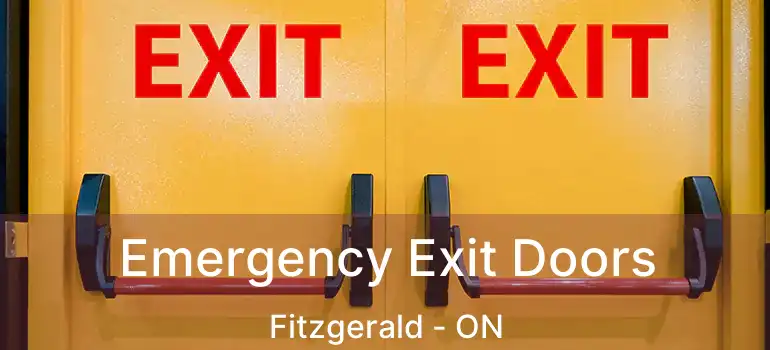 Emergency Exit Doors Fitzgerald - ON