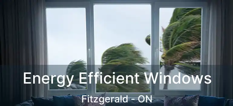  Energy Efficient Windows Fitzgerald - ON