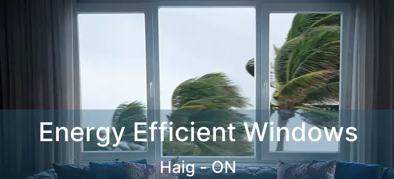  Energy Efficient Windows Haig - ON