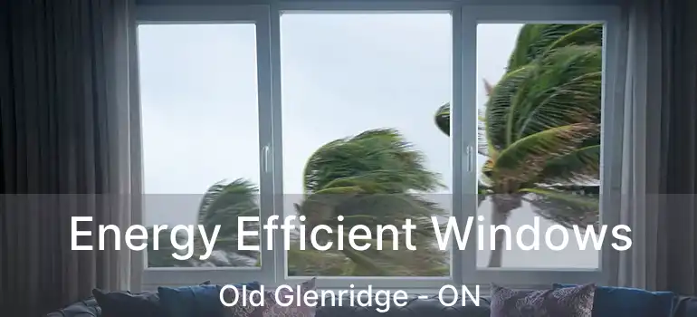  Energy Efficient Windows Old Glenridge - ON