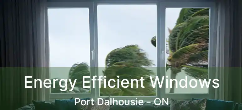  Energy Efficient Windows Port Dalhousie - ON
