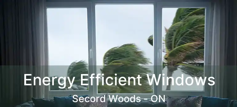  Energy Efficient Windows Secord Woods - ON