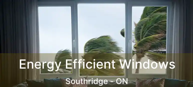  Energy Efficient Windows Southridge - ON