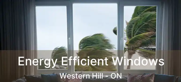  Energy Efficient Windows Western Hill - ON