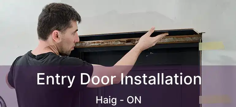  Entry Door Installation Haig - ON