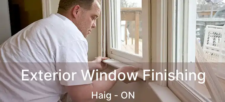  Exterior Window Finishing Haig - ON