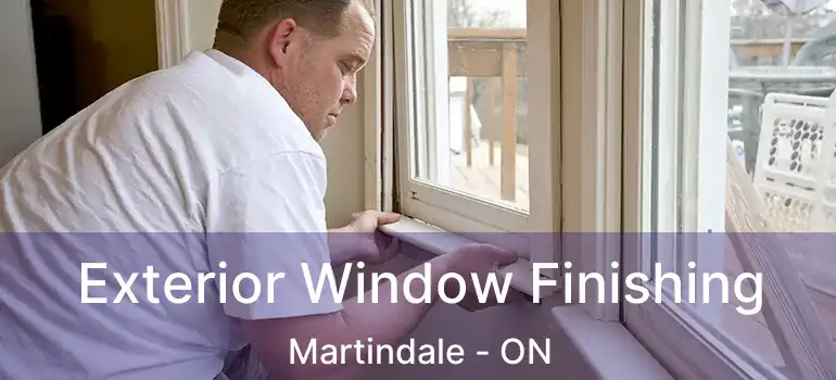 Exterior Window Finishing Martindale - ON