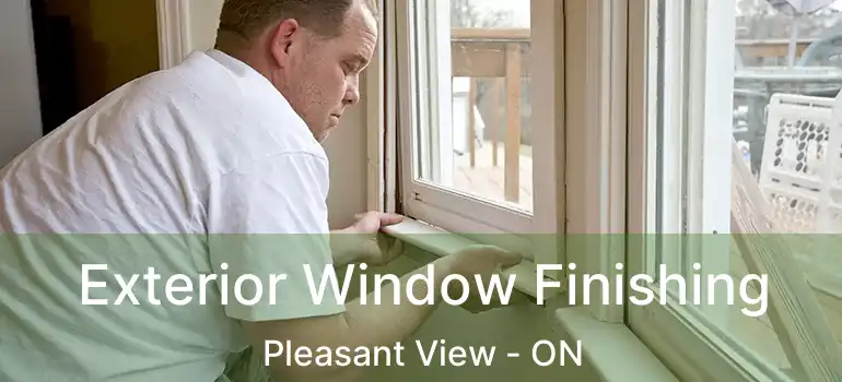Exterior Window Finishing Pleasant View - ON