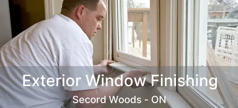  Exterior Window Finishing Secord Woods - ON