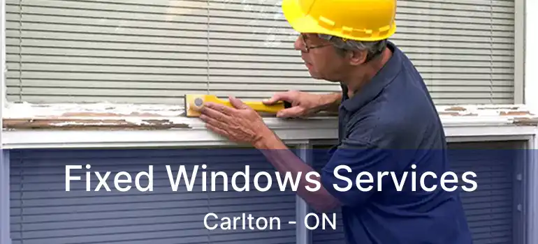  Fixed Windows Services Carlton - ON
