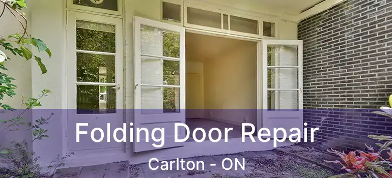 Folding Door Repair Carlton - ON