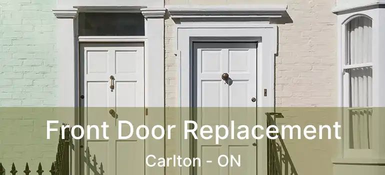  Front Door Replacement Carlton - ON