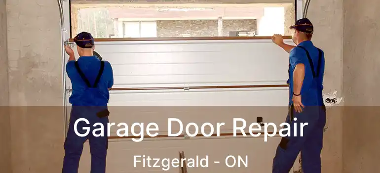  Garage Door Repair Fitzgerald - ON
