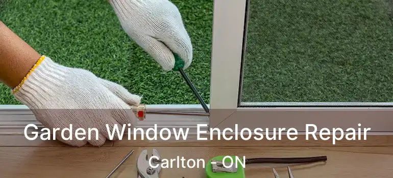  Garden Window Enclosure Repair Carlton - ON