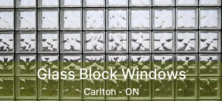  Glass Block Windows Carlton - ON
