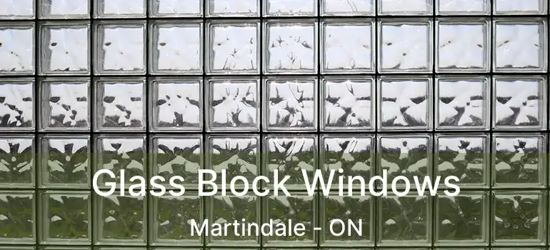  Glass Block Windows Martindale - ON