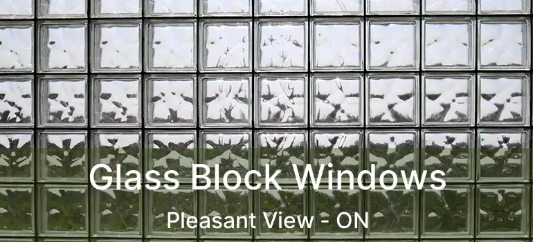  Glass Block Windows Pleasant View - ON