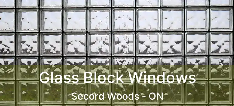 Glass Block Windows Secord Woods - ON
