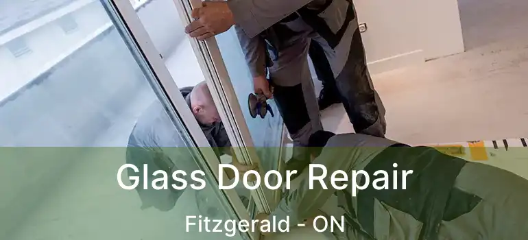  Glass Door Repair Fitzgerald - ON