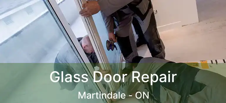  Glass Door Repair Martindale - ON