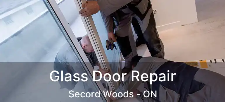  Glass Door Repair Secord Woods - ON