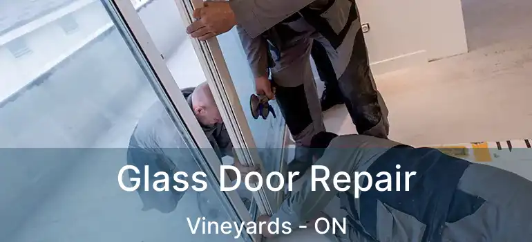  Glass Door Repair Vineyards - ON