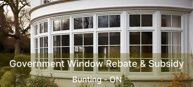 Government Window Rebate & Subsidy Bunting - ON