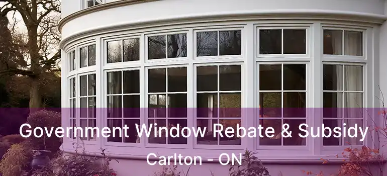 Government Window Rebate & Subsidy Carlton - ON