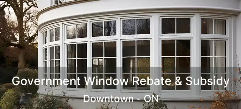 Government Window Rebate & Subsidy Downtown - ON