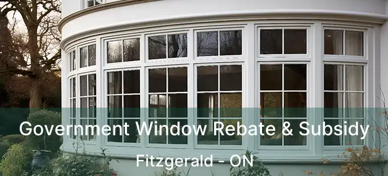 Government Window Rebate & Subsidy Fitzgerald - ON