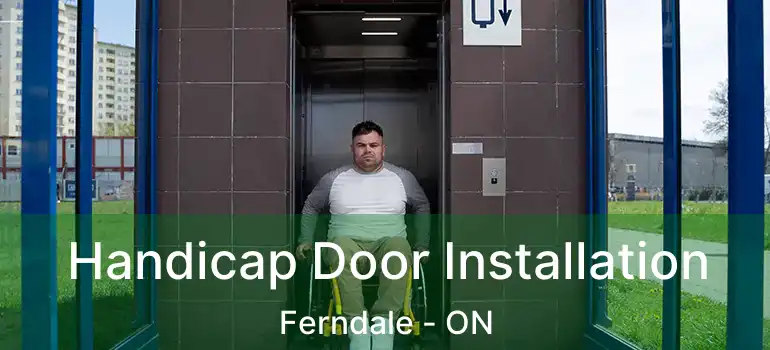 Handicap Door Installation Ferndale - ON