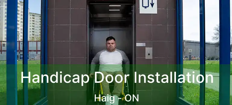  Handicap Door Installation Haig - ON