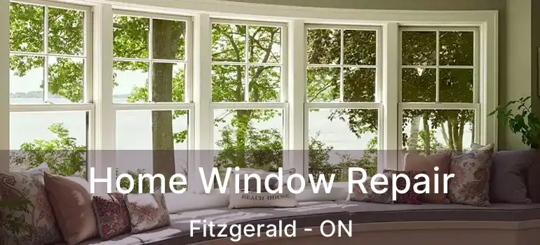 Home Window Repair Fitzgerald - ON