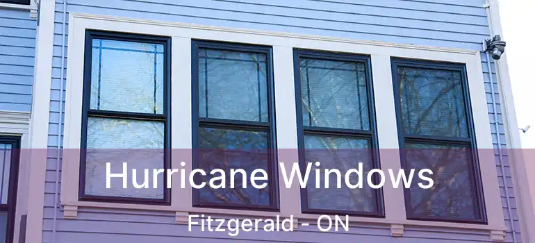  Hurricane Windows Fitzgerald - ON