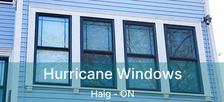  Hurricane Windows Haig - ON