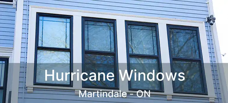  Hurricane Windows Martindale - ON