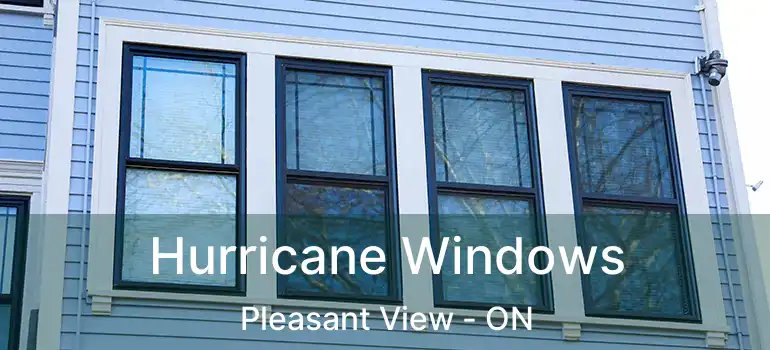 Hurricane Windows Pleasant View - ON