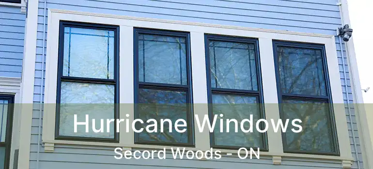  Hurricane Windows Secord Woods - ON
