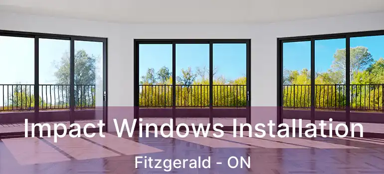  Impact Windows Installation Fitzgerald - ON