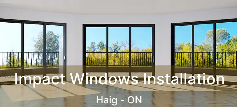  Impact Windows Installation Haig - ON