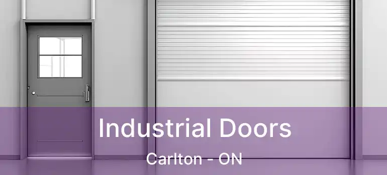  Industrial Doors Carlton - ON