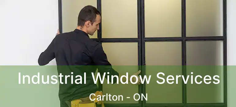  Industrial Window Services Carlton - ON