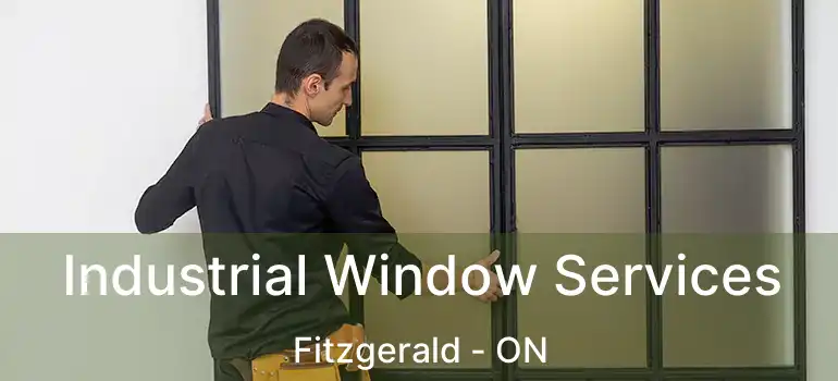  Industrial Window Services Fitzgerald - ON