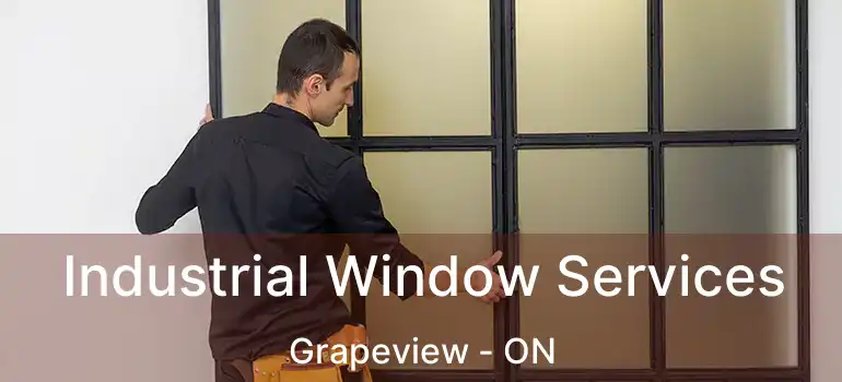  Industrial Window Services Grapeview - ON