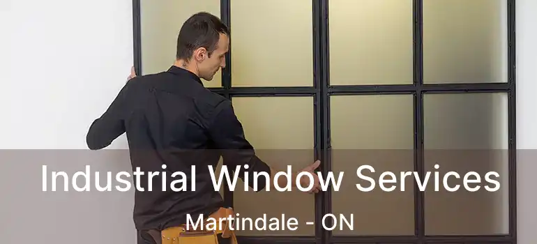 Industrial Window Services Martindale - ON