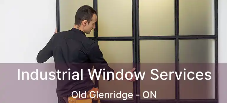  Industrial Window Services Old Glenridge - ON