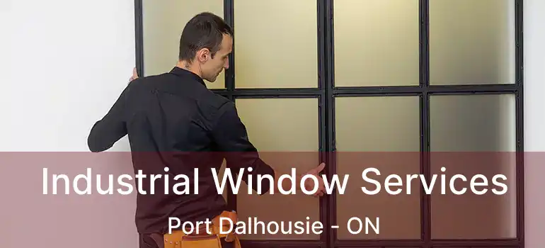 Industrial Window Services Port Dalhousie - ON