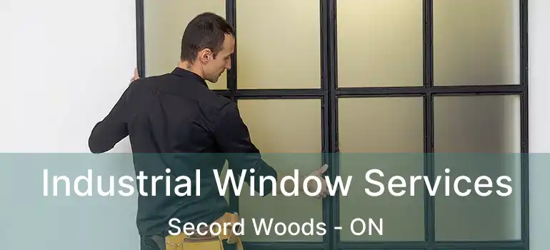 Industrial Window Services Secord Woods - ON