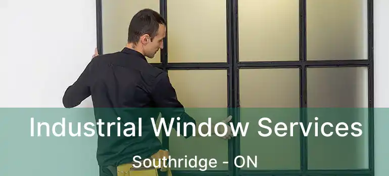  Industrial Window Services Southridge - ON