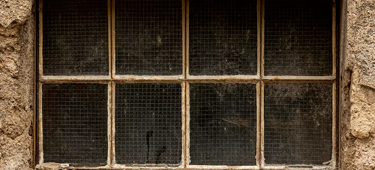 Traditional Double Front Doors in St. Catharines, Ontario
